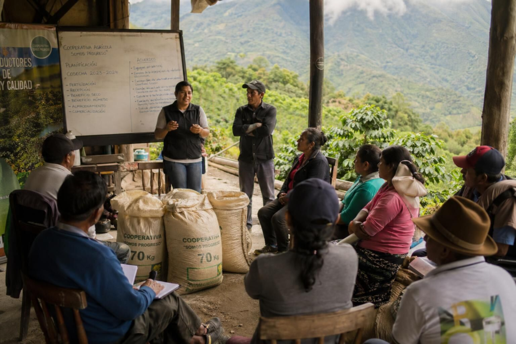 Découvrez comment le café équitable contribue à améliorer les conditions de vie des petits producteurs en garantissant des prix justes et en favorisant un commerce éthique et durable.