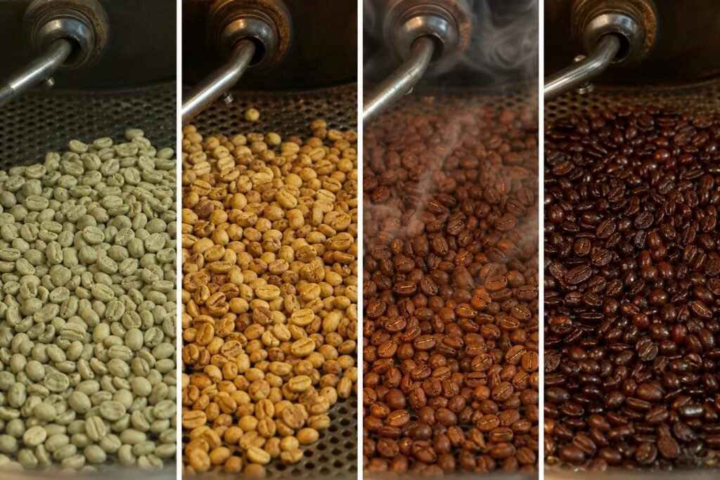 découvrez les étapes essentielles de la torréfaction expliquées en détail pour comprendre comment le café développe ses arômes uniques.