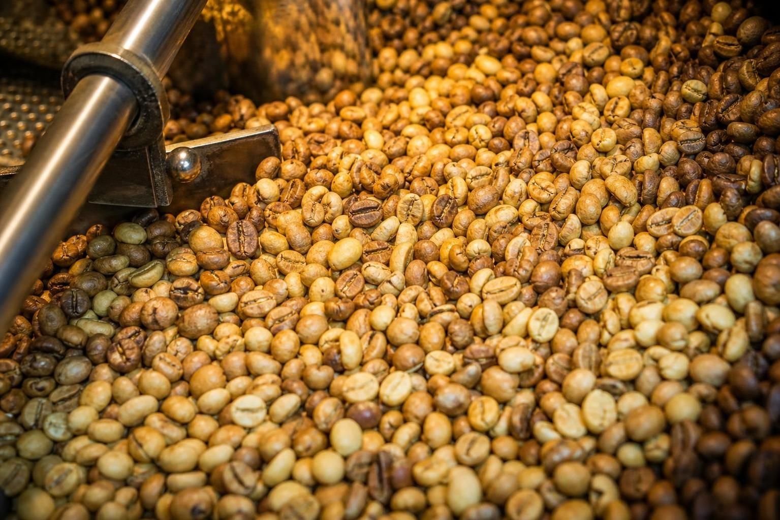 découvrez les différentes étapes de la torréfaction du café, expliquées clairement pour comprendre comment transformer les grains verts en café aromatique.