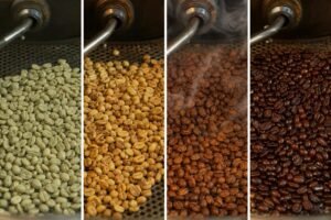 découvrez les étapes essentielles de la torréfaction expliquées en détail pour comprendre comment le café développe ses arômes uniques.